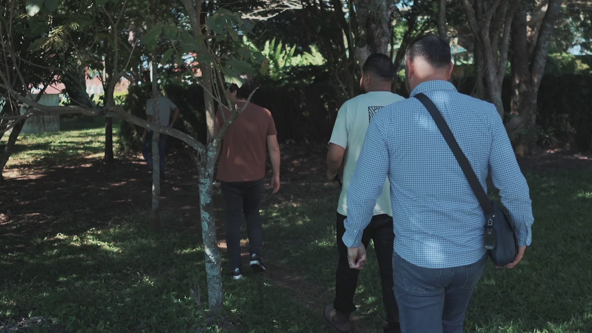 Cargar video: 